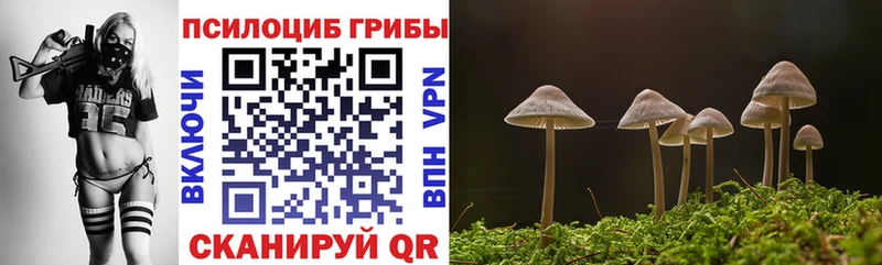 Галлюциногенные грибы мухоморы  ОМГ ОМГ ссылка  Нижний Тагил 